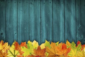 5 Employee Health Tips for Fall